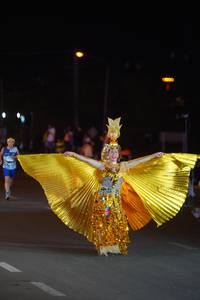 BIB: 
                            <button type="button" onclick="openModal(24253037)" class="btn btn-primary btn-sm float-right btn-popup" data-toggle="modal" data-target=".modal-high-quality">
                        <i class="fas fa-shopping-cart"></i> Add to Cart
                    </button>
                                            <button type="button" onclick="isThisMe(24253037, true)" class="btn btn-success btn-sm float-right btn-popup btn-isme hidden" data-toggle="tooltip" data-placement="bottom" title="นี่คือรูปของคุณใช่ไหม คลิกที่นี่เพื่อเอาเข้าอัลบั้ม">
                        <i class="fas fa-plus"></i> Add to album
                    </button>
                    <button type="button" onclick="isThisMe(24253037, false)" class="btn btn-warning btn-sm float-right btn-popup btn-isnotme hidden">
                        <i class="fas fa-ban"></i> Remove from album
                    </button>